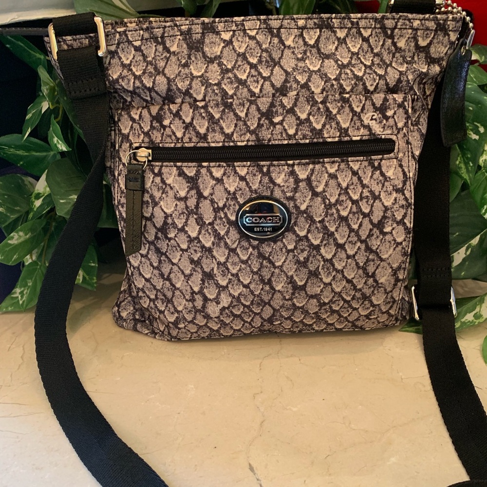 Snake print Coach
